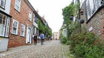 红港小镇爆料案件最新,揭秘背后惊人真相，追踪追踪者与受害者命运交织